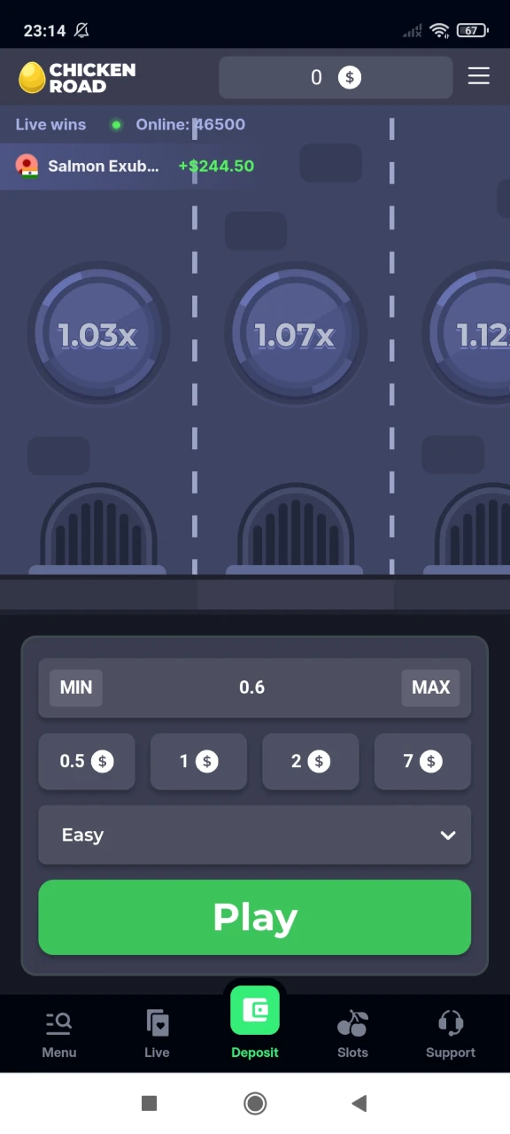 Launch the Chicken Raod game on your Android device.