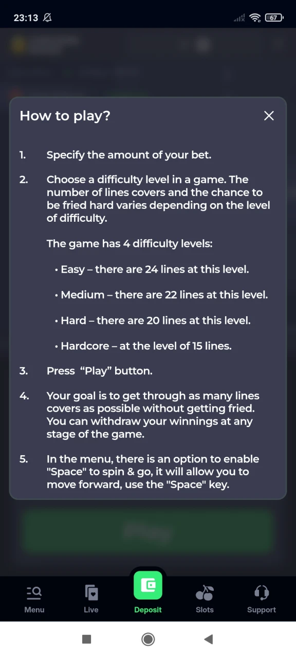 You can find a description of how to play Chicken Road.